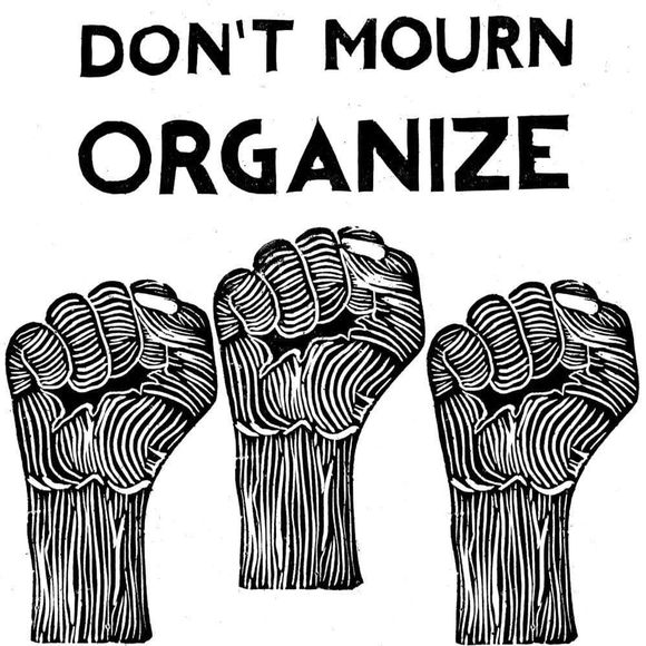 Meet your Posher, Roy - Picture 1 of 1